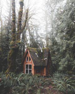 a small house in the woods