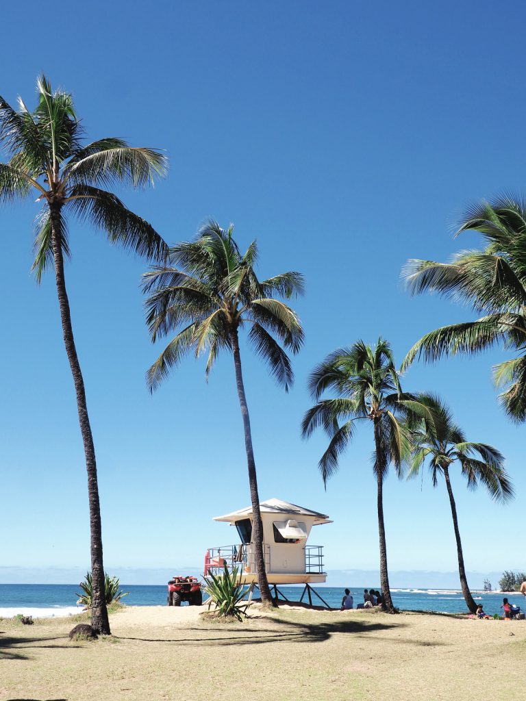 a beach with palm trees and a building on the beach