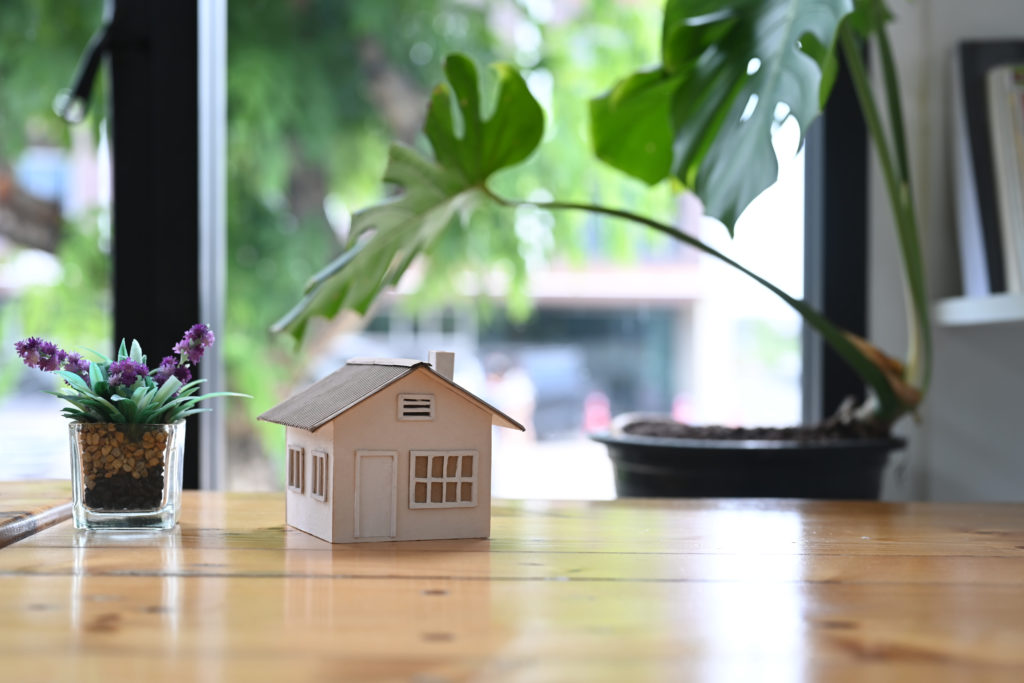 a small house with a plant in a pot on a table